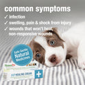 HomeoPet, HP Healing Cream, Safe and Natural Skin-Healing Ointment for Cats and Dogs, 14 Grams