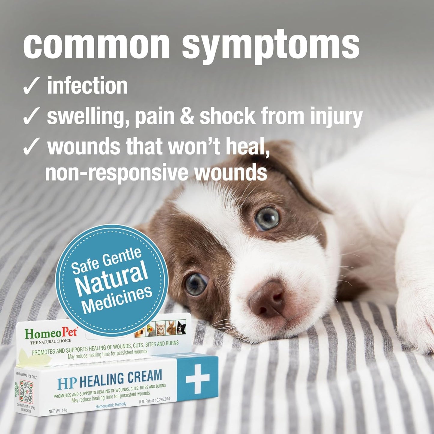 HomeoPet, HP Healing Cream, Safe and Natural Skin-Healing Ointment for Cats and Dogs, 14 Grams