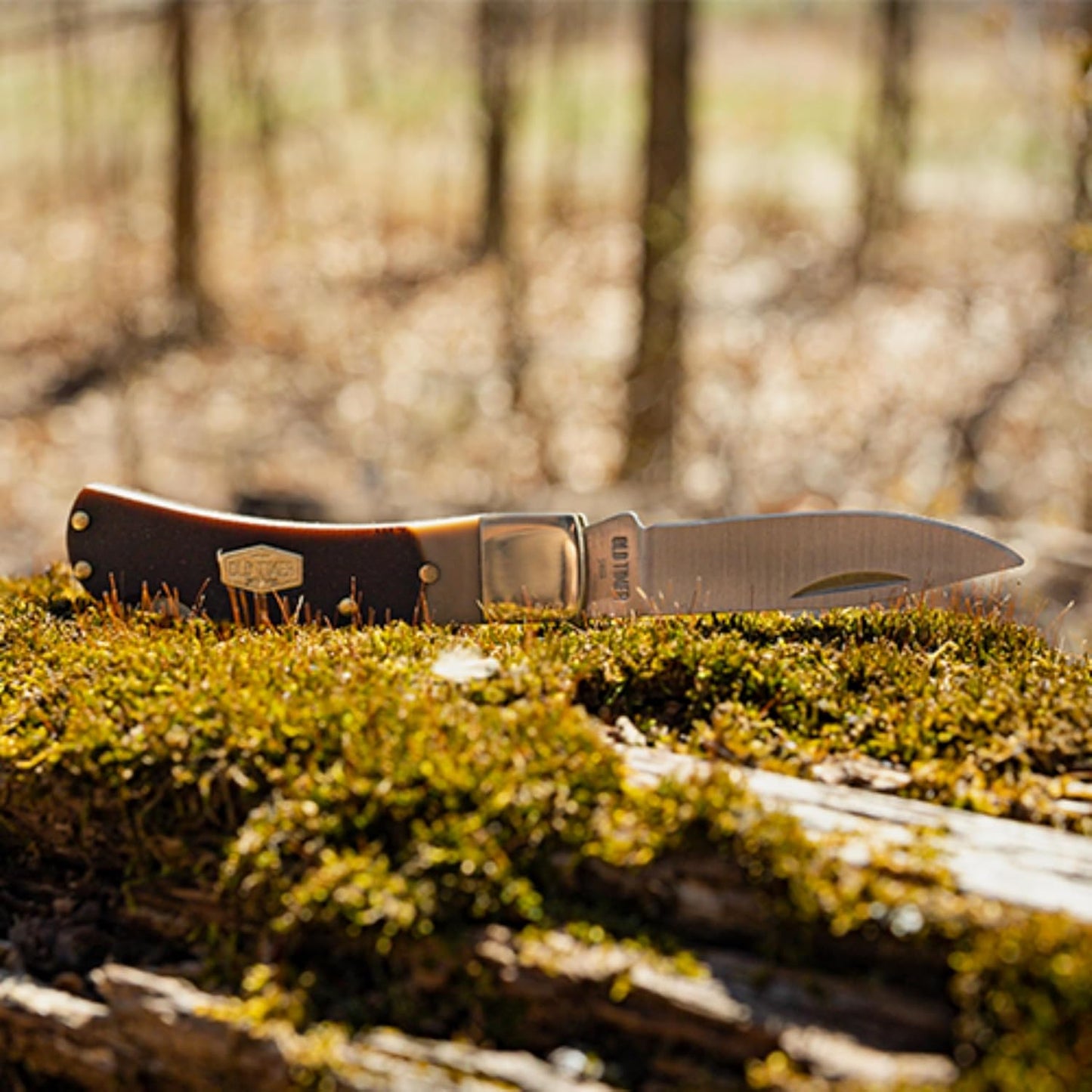 Old Timer, 3OT Bearhead Traditional Lockback Pocket Knife with 2.2in High Carbon Stainless Steel Blade, Sawcut Handle, and Convenient Small Size for EDC, Whittling, Camping, Hunting, and Outdoors