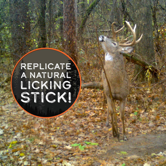 HODAG, Licking Stick System to Create an Effective Mock Scrape | Deer Hunting Accessories | Deer Hunting Gear | Trail Camera Accessory | Bow Hunting Accessories | Food Plot Accessory