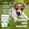 HomeoPet, Anxiety Relief Medicine for Pets, Natural Anxiety Relief for Dogs and Cats, Cat and Dog Calming Medicine, 15 Milliliters