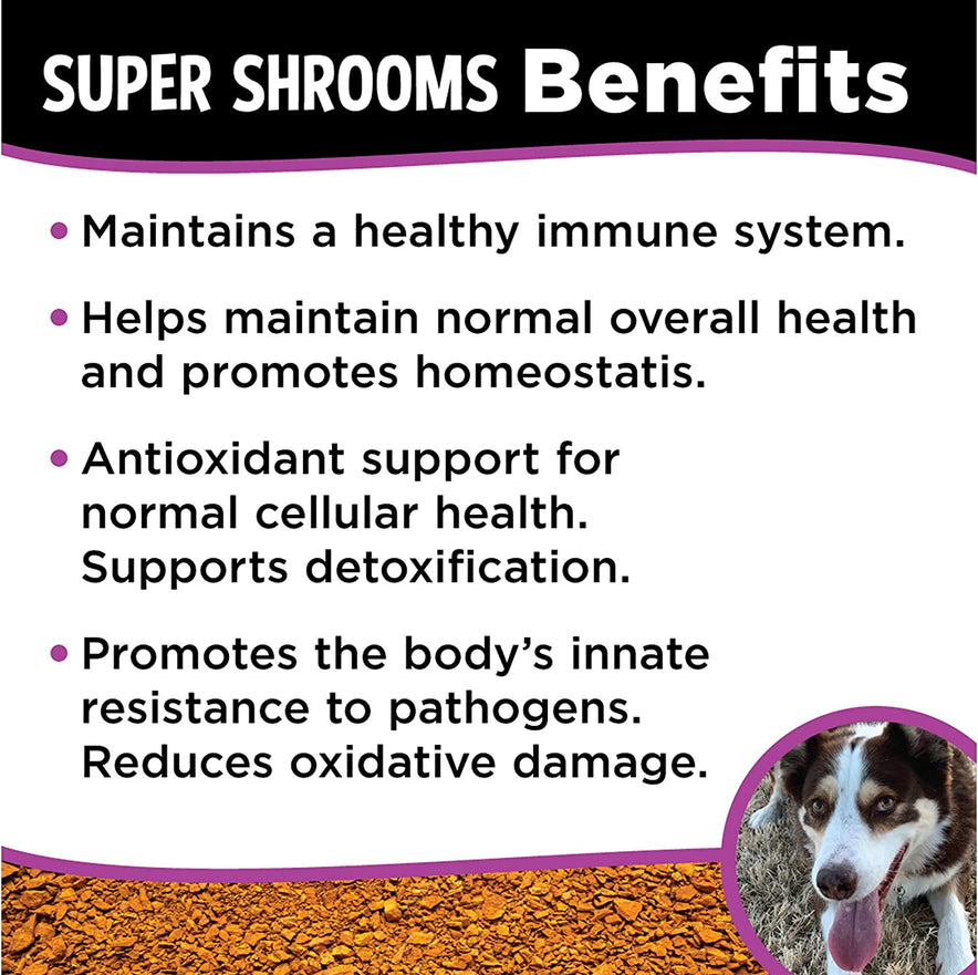 Super Snouts, Super Shrooms Mushroom Immune Support Supplement for Dogs and Cats, 2.64 oz - Made in USA Organic Non-GMO, Immune Health for Strong Immunity, 7 Mushroom Blend Powder