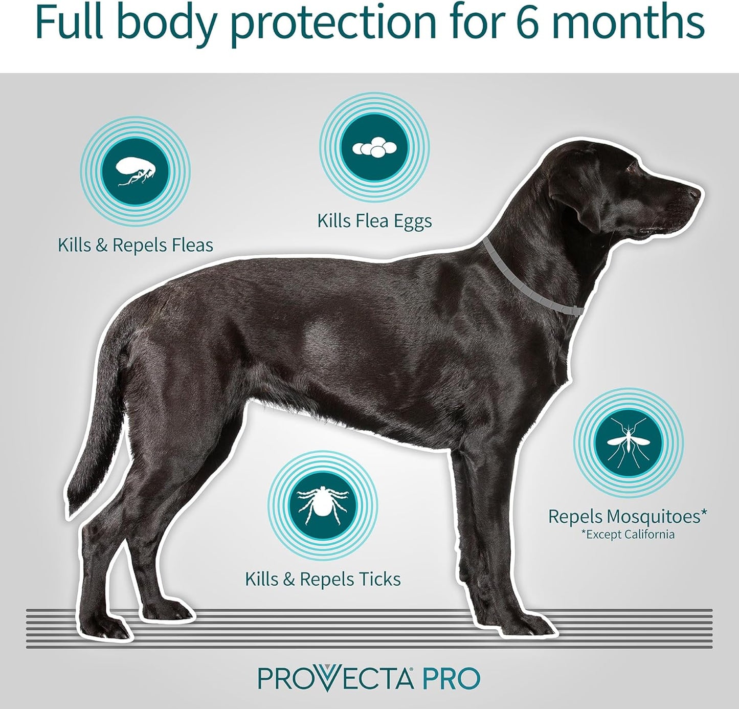 Provecta®, PRO Flea & Tick Collar for Dogs