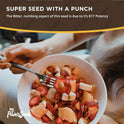 My Power Seeds, Certified Seeds (1 pound bag) | Natural Source of Vitamins & Minerals - Raw - 100% Non GMO, Vegan, Gluten Free (Apricot Seeds)