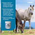 Ramard, Total Prebiotic & Probiotic Equine Formula - Natural Digestive Supplement for Horses Optimal Gut Health, Nutrient Absorption, Foal Support Pro & Pre Biotics for Livestock and Horse 8.5 oz. Jar