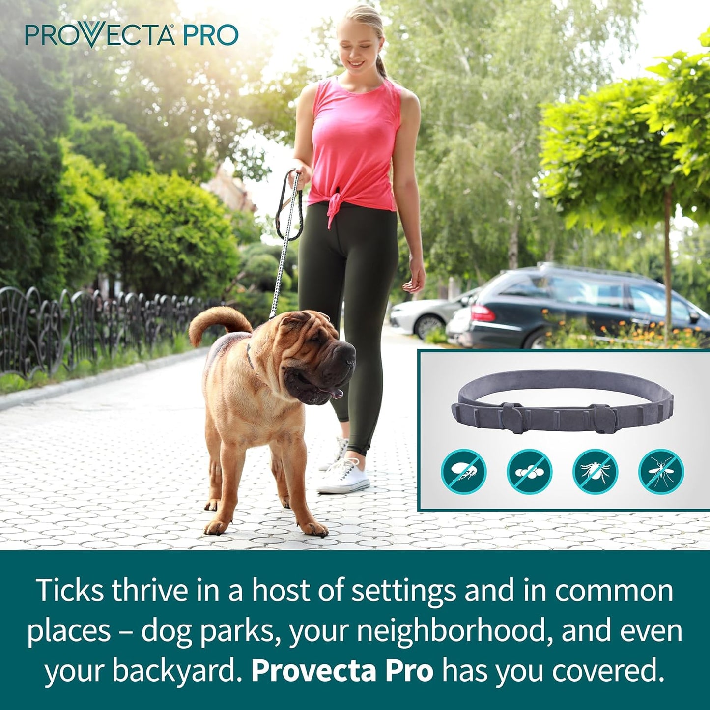 Provecta®, PRO Flea & Tick Collar for Dogs