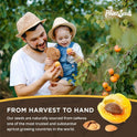 My Power Seeds, Certified Seeds (1 pound bag) | Natural Source of Vitamins & Minerals - Raw - 100% Non GMO, Vegan, Gluten Free (Apricot Seeds)