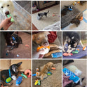 Nocciola, 10 PC Sushi Squeaky Small Dog Toys, Cute Stuffed Puppy Toys with Bag, Plush Dog Squeaky Toy for Small Medium to Keep Them Busy