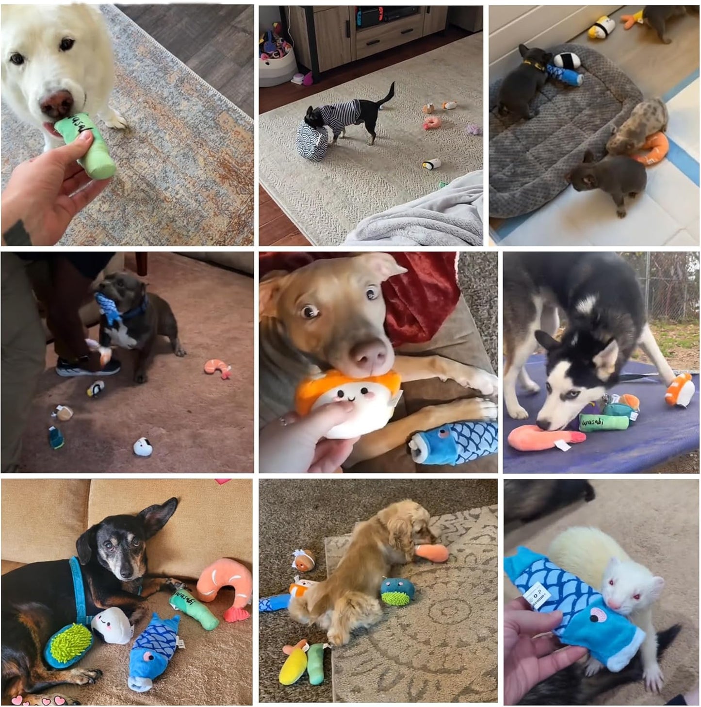 Nocciola, 10 PC Sushi Squeaky Small Dog Toys, Cute Stuffed Puppy Toys with Bag, Plush Dog Squeaky Toy for Small Medium to Keep Them Busy