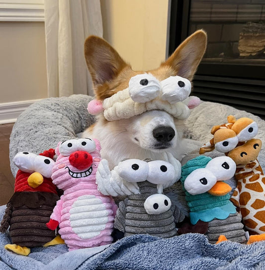 Nocciola, 5-Pack Squeaky Dog Toys, Durable Stuffed Critter Zoo Dog Toys with Unique Squeak Sounds to Keep Dogs Busy, Puppy Toys for Small, Medium, and Large Dogs