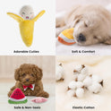 Nocciola, Dog Squeaky Toys, Plush Small Dog Toys for Dogs, Stuffed with Squeakers,12 pcs Puppy Toys with a Carrying Bag for Small Medium Size