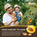 My Power Seeds, (1 pound bag) | Natural Source of Vitamins & Minerals - Raw - 100% Non GMO, Vegan, Gluten Free (Apricot Seeds) (Organic)