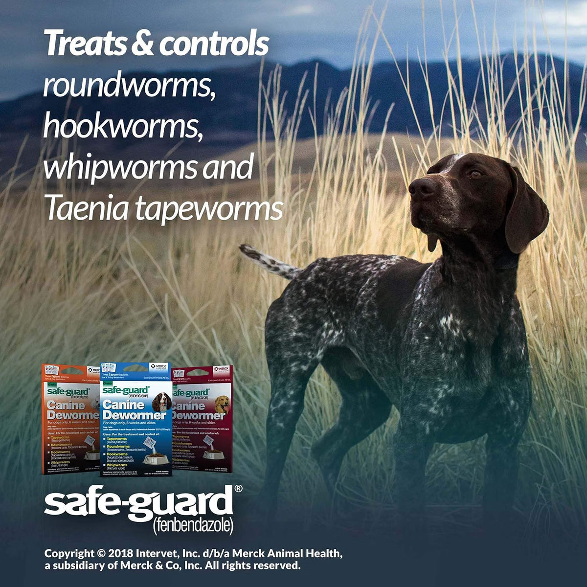 Safe-Guard, (fenbendazole) Canine Dewormer for Dogs, 4gm pouch (ea. pouch treats 40lbs.)