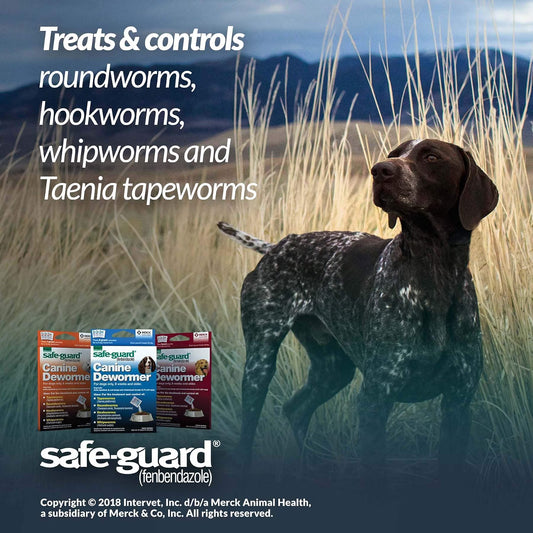 Safe-Guard, (fenbendazole) Canine Dewormer for Dogs, 4gm pouch (ea. pouch treats 40lbs.)