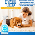OOOPS, Pet Odor & Stain Eliminator - Enzyme Pet Odor Eliminator for Home - Dismantles Odors on a Molecular Level, Cats, Dogs, Puppy, Freshener, Furniture - Carpet Cleaner Spray (Pack of 1)