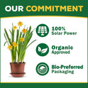 Espoma, Organic Citrus-Tone 5-2-6 Natural & Organic Fertilizer and Plant Food for All Citrus, Fruit, Nut & Avocado Trees; 4 lb. Bag. Promotes Vigorous Growth & Abundant Fruit