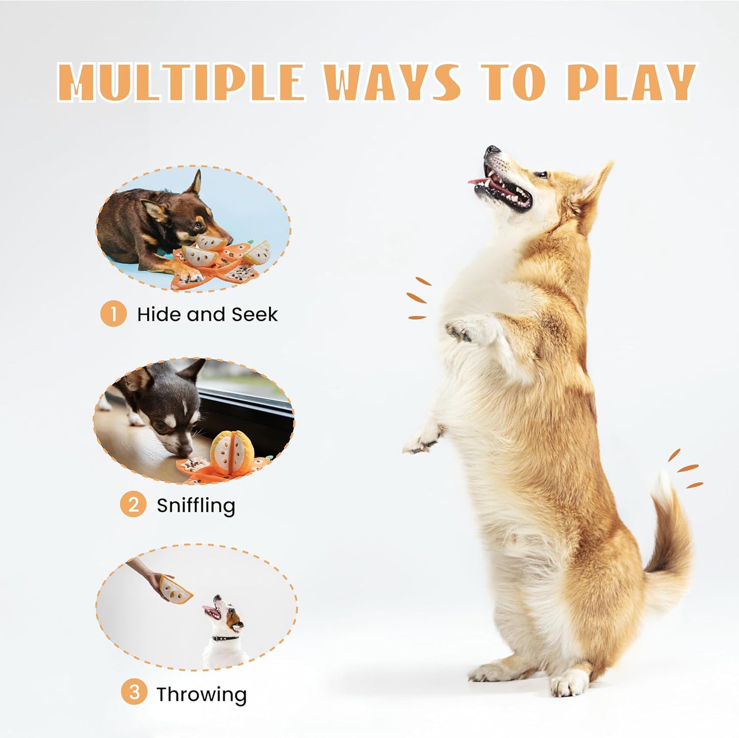 Nocciola, Hide and Seek Plush Dog Toys, Orange Tangerine Interactive Dog Toy for Small Dogs, Puppy Squeaky Toy with Crinkle Papers, Puzzle Toy for Boredom, Nose work Pet Toy for Small Medium Dogs