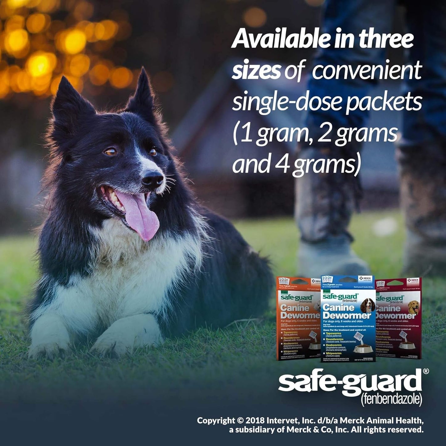 Merck, SAFE-GUARD (fenbendazole) Canine Dewormer for Dogs, 2gm pouch (ea. pouch treats 20lbs.), Blue, 0.07 Ounce (Pack of 3) (033576/001-033576)