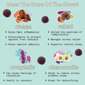 SuperMush, Sleep Gummies for Adults - Mushroom Supplement with Magnesium Citrate, L-Theanine, Chaga, Reishi & Chamomile for Deep Sleep, REM & Detox - Vegan & Sugar-Free - 60 Gummies (30 Servings)