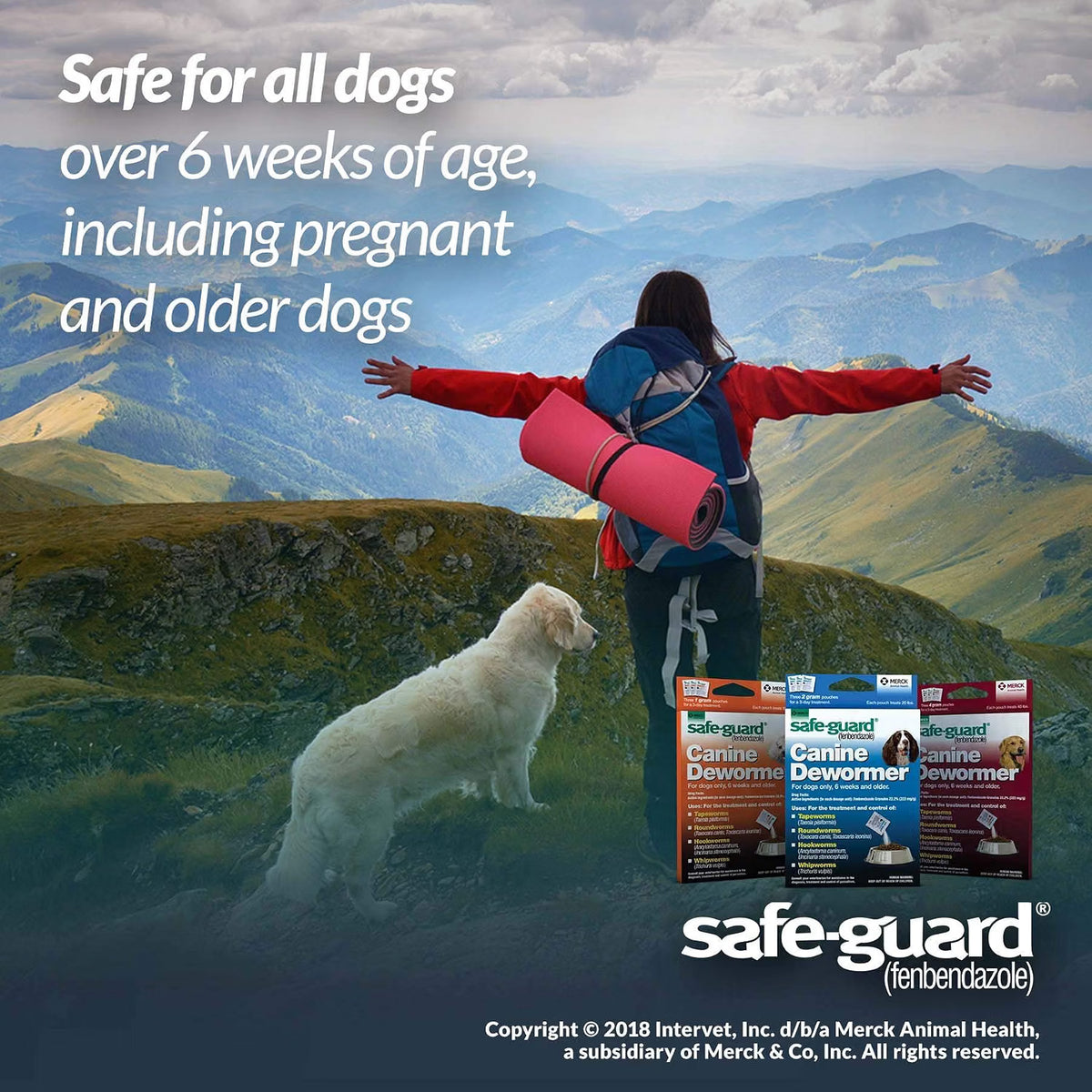 Safe-Guard, (fenbendazole) Canine Dewormer for Dogs, 4gm pouch (ea. pouch treats 40lbs.)