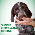 Vet's Best, Probiotic Soft Chews for Dogs, Digestive Aid, 30 Day Supply