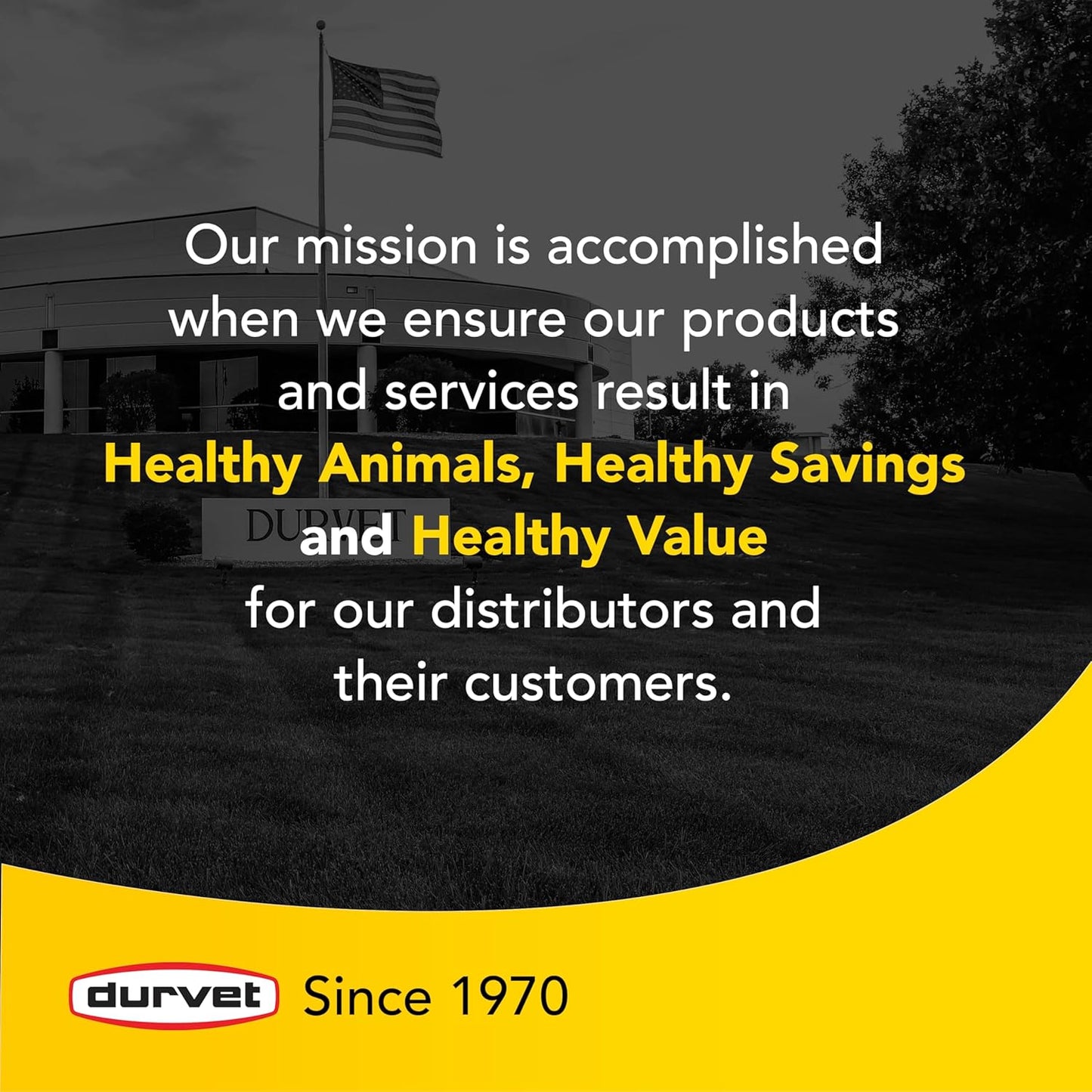 Durvet, 011-1131 No Bite IGR House Fogger (3 Pack), 6 oz