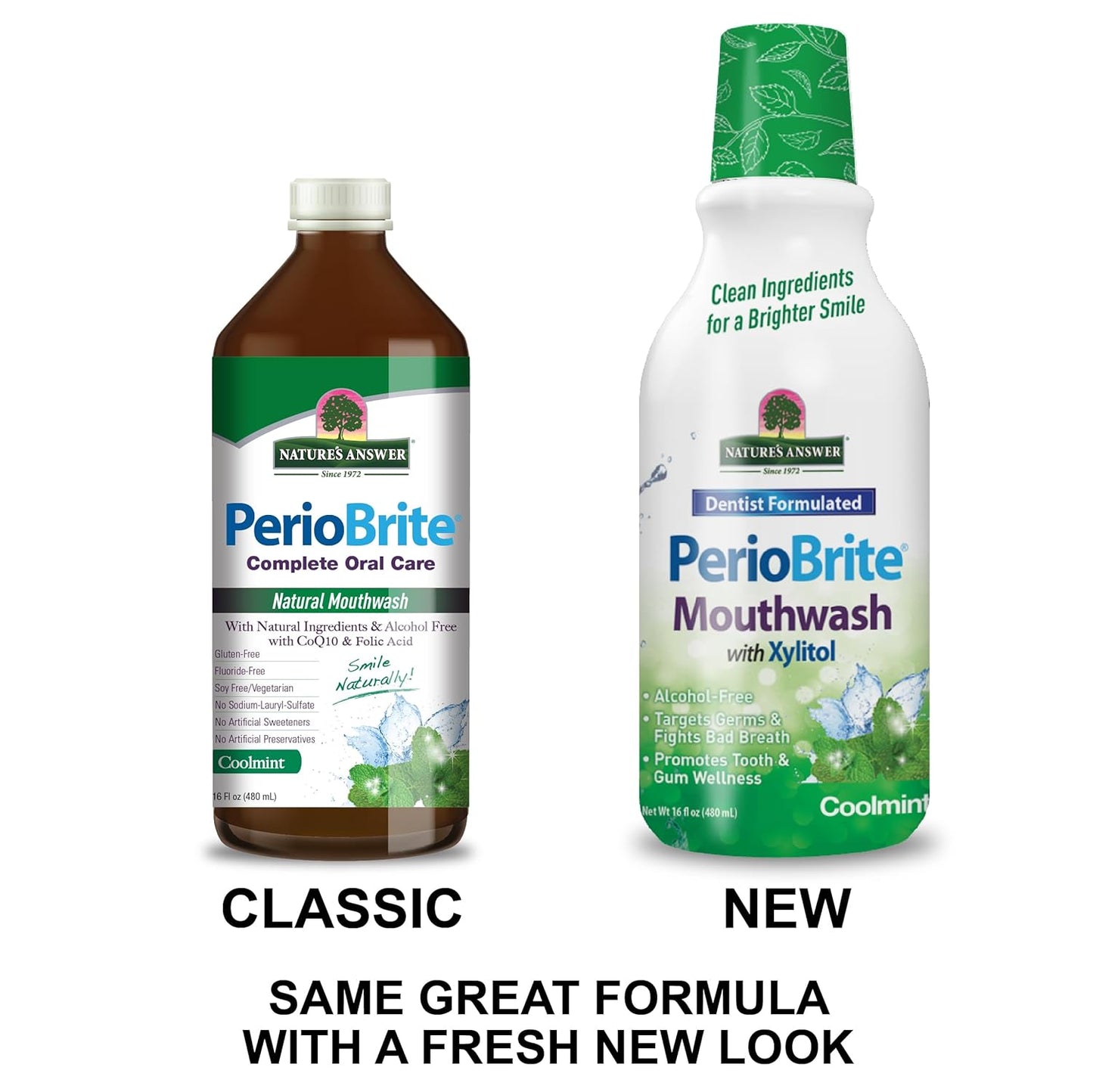 Nature's Answer, Periobrite Cool Mint All-Natural Mouthwash | Promotes Healthy Teeth & Gums | Fights Bad Breath | Fluoride-Free, Alcohol-Free & Gluten-Free | No Artificial Preservatives 16oz (2 Pack)