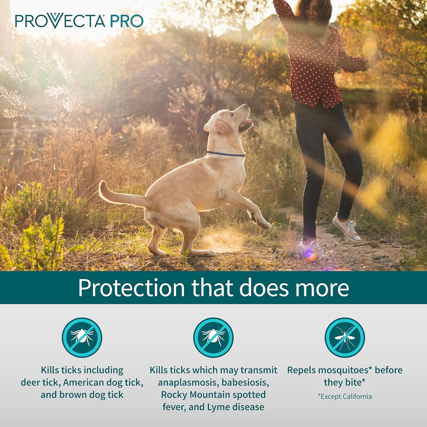 Provecta®, PRO Flea & Tick Collar for Dogs
