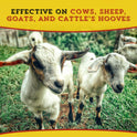 Dr. Naylor, Hoof 'N Heal, Hoof Rot Foot Rot Wound Care, 16oz, Sheep Goat Cow Horse, 1-pack