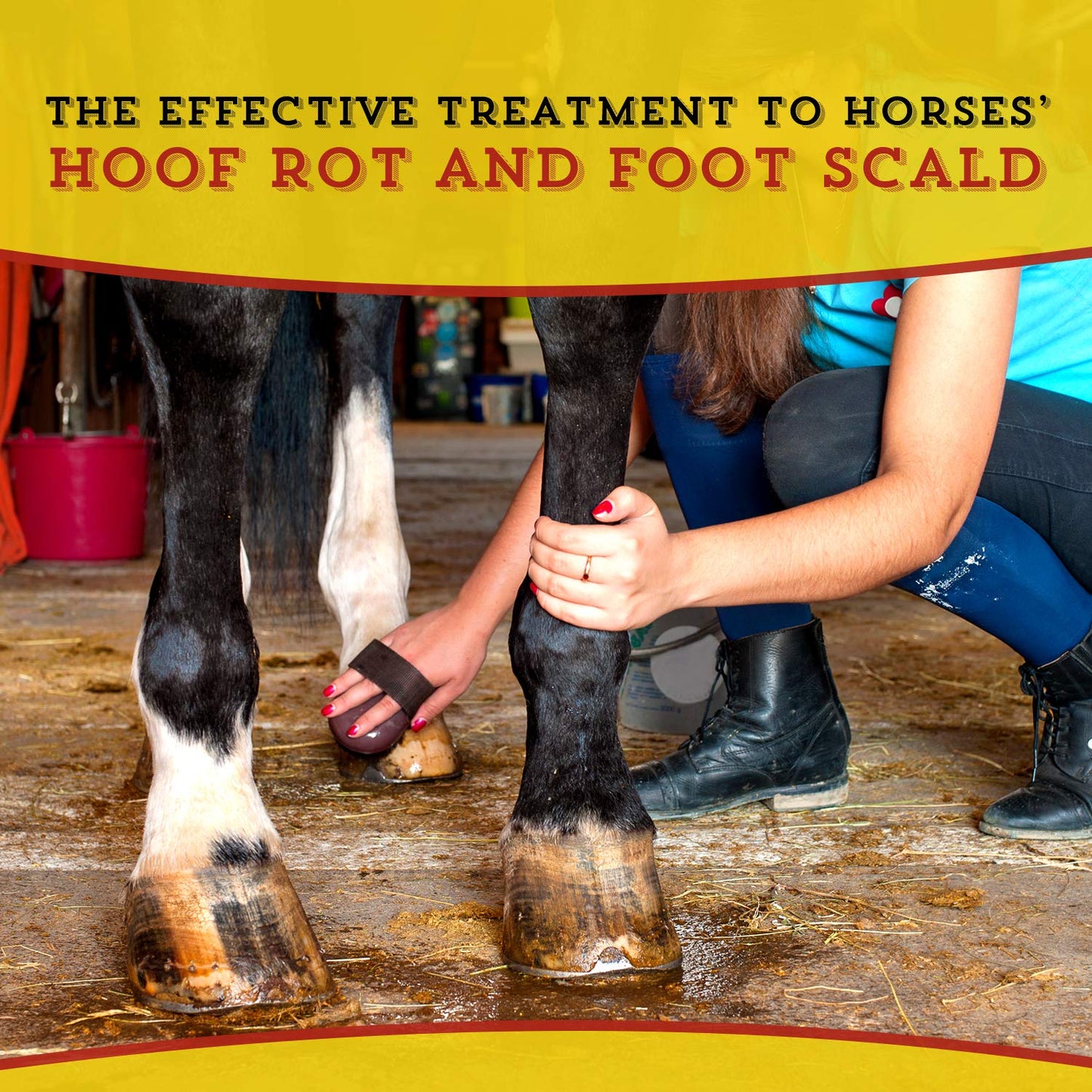 Dr. Naylor, Hoof 'N Heal, Hoof Rot Foot Rot Wound Care, 16oz, Sheep Goat Cow Horse, 1-pack