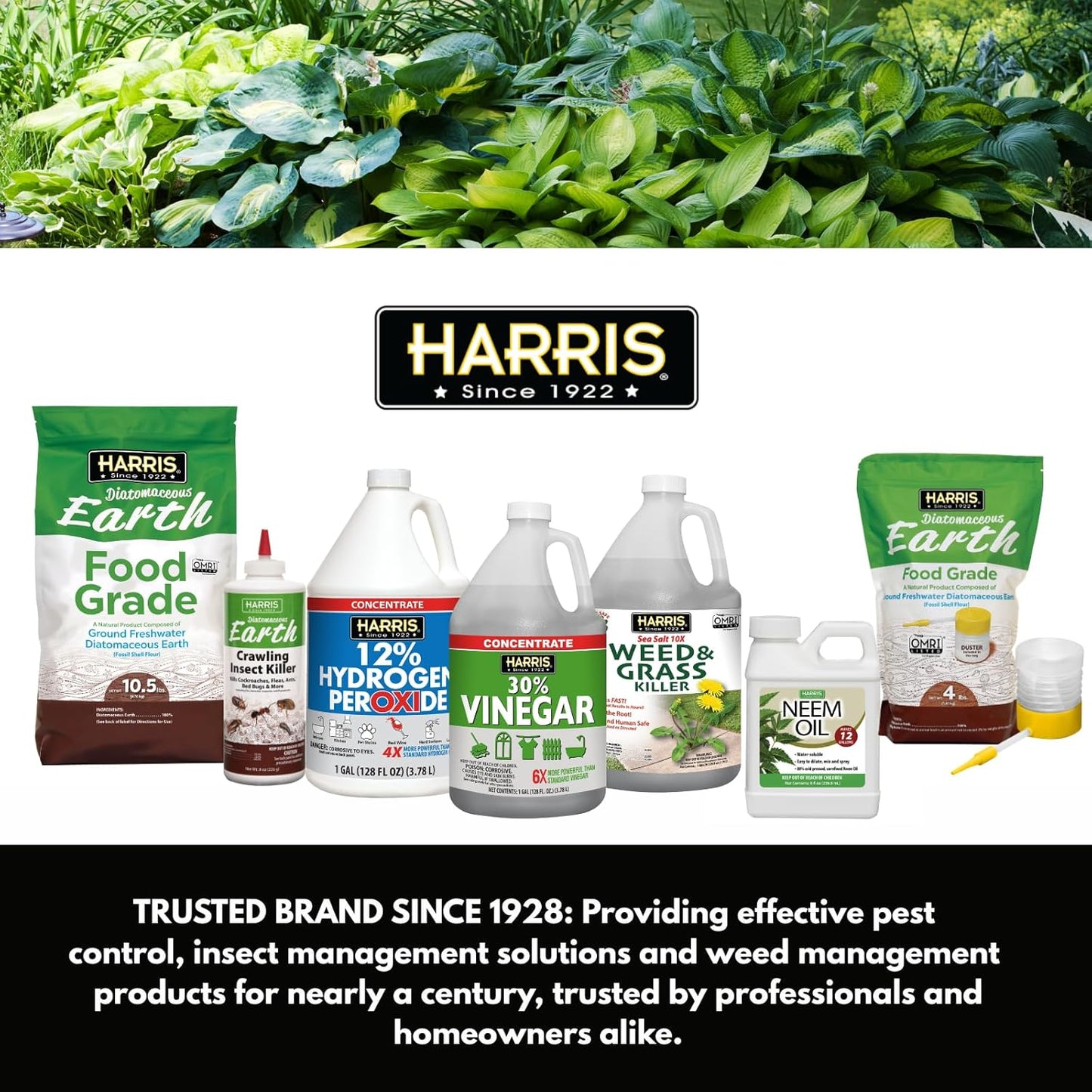 HARRIS, Diatomaceous Earth Food Grade, Half Pound with Easy Application Puffer Tip