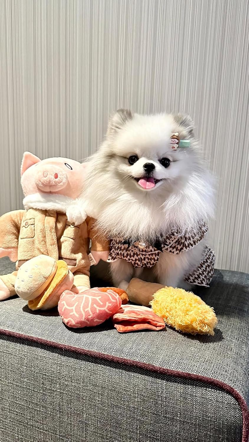 Nocciola, Stuffed Pig Dog Toys: Hide and Seek Funny Squeaky Crinkle Plush Dog Chew Toys for Small Medium Breed, Cognitive Training Pet Enrichment Gifts Supplies