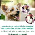 TropiClean, Fresh Breath Dog Toothpaste for Teeth Cleaning, Breath Freshener, Easy to Use Plaque & Tartar Remover Gel, No Toothbrush Needed, 4oz.
