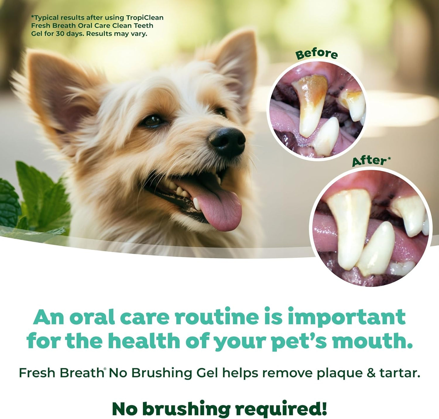 TropiClean, Fresh Breath Dog Toothpaste for Teeth Cleaning, Breath Freshener, Easy to Use Plaque & Tartar Remover Gel, No Toothbrush Needed, 4oz.