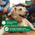Advantus, Dog Fast Acting Oral Flea Treatment Soft Chews Dogs 23 - 110 lbs. | 30 ct.