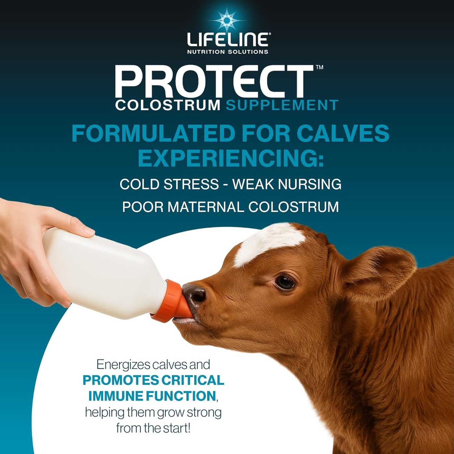 ANNUSO, LIFELINE Protect Colostrum Supplement for Calves, 1lb Bag - 50g Globulin Protein per Feeding - 20% Added Fat and Carbohydrates - Immune and Energy Support for Newborn Calves