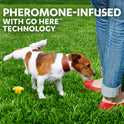 Simple Solution, Pee Post Outdoor Dog Training Aid, 13-Inch Pheromone Infused Yard Marking Stake for Puppy Potty Training, Housebreaking, Lawn and Garden Dog Pee Attractant, Reusable Potty Helper