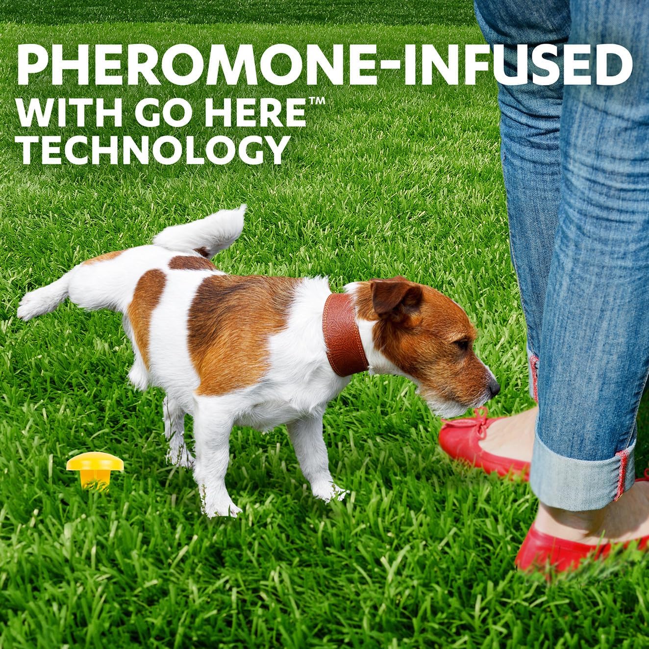 Simple Solution, Pee Post Outdoor Dog Training Aid, 13-Inch Pheromone Infused Yard Marking Stake for Puppy Potty Training, Housebreaking, Lawn and Garden Dog Pee Attractant, Reusable Potty Helper