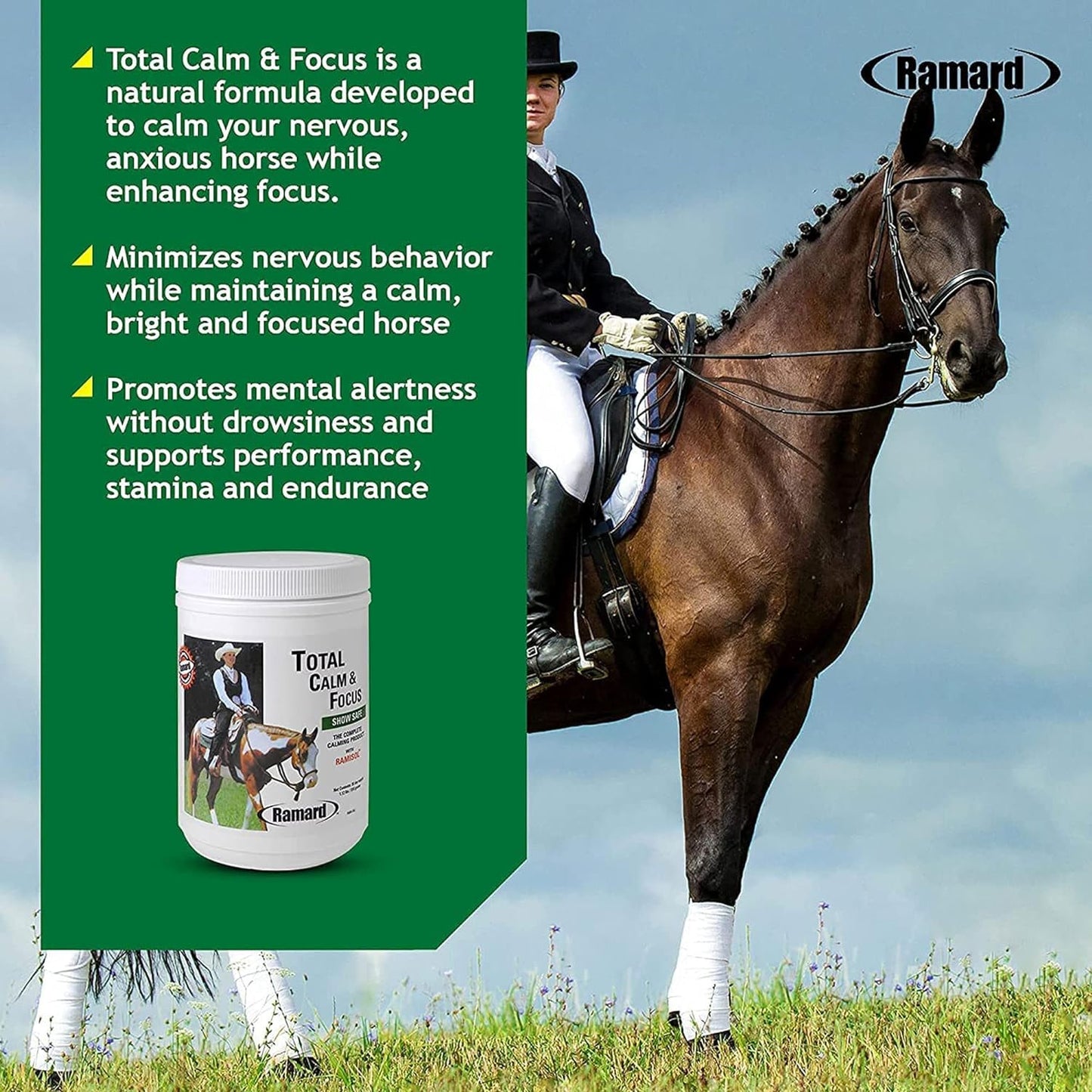 Ramard, Total Calm and Focus for Horses Supplement - Magnesium & Calming Formula for Horse Show, Training, & Performance Mental Alertness Without Drowsiness, Show Safe, Perfect Prep for Horses 1 Pack