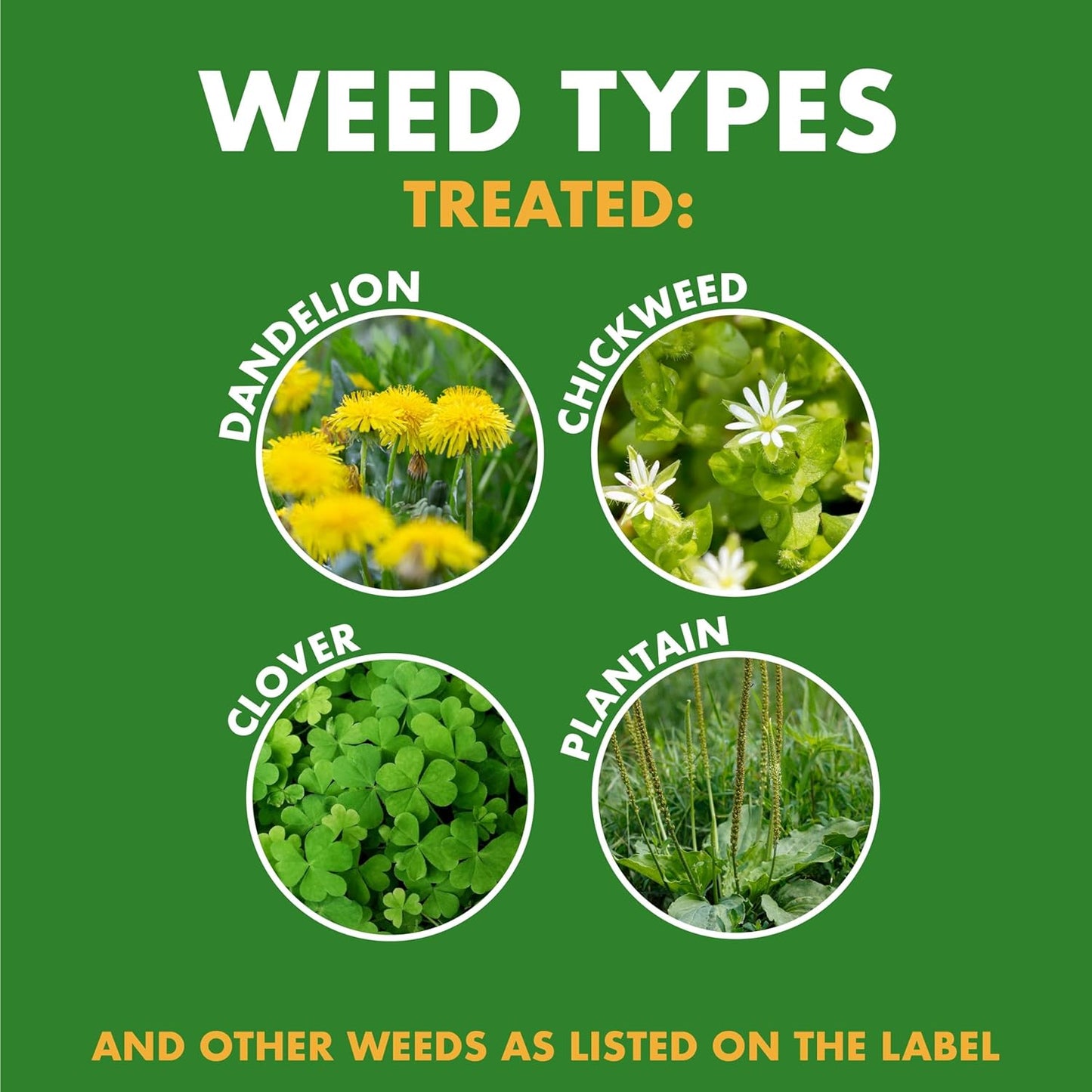 Spectracide, Weed & Feed 20-0-0 (Ready-to-Spray) (32 fl oz), 1 pack