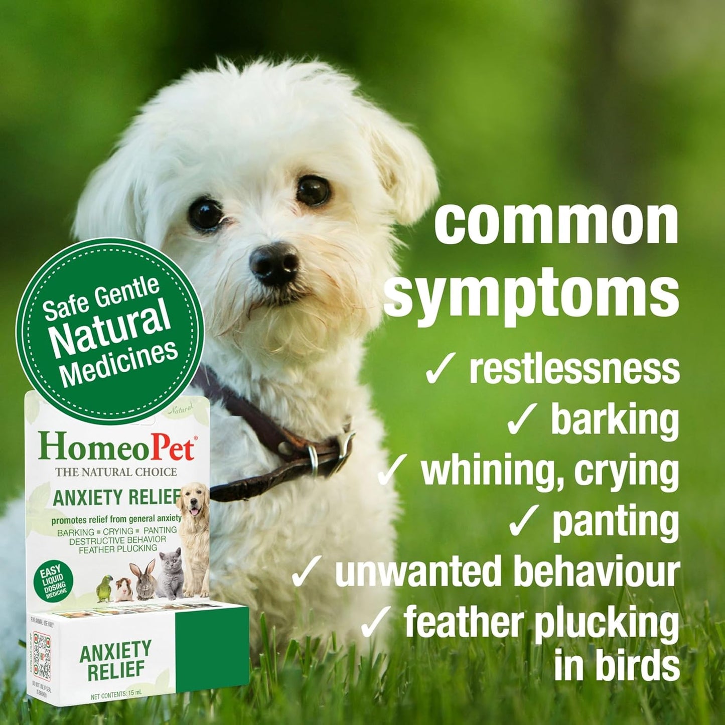 HomeoPet, Anxiety Relief Medicine for Pets, Natural Anxiety Relief for Dogs and Cats, Cat and Dog Calming Medicine, 15 Milliliters