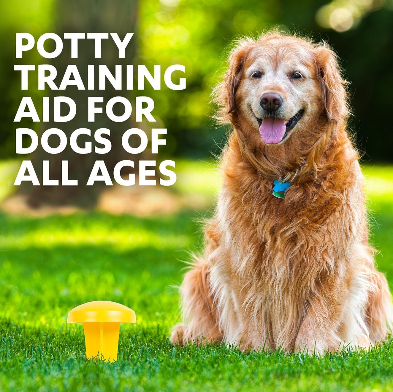 Simple Solution, Pee Post Outdoor Dog Training Aid, 13-Inch Pheromone Infused Yard Marking Stake for Puppy Potty Training, Housebreaking, Lawn and Garden Dog Pee Attractant, Reusable Potty Helper