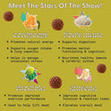 SuperMush, Energy Mushroom Gummies - Organic Lions Mane Supplement with Cordyceps, Rhodiola, L-Theanine, Maca - Vegan & Sugar-Free - Energy, Focus, Stamina, Stress Reduction - 60 Gummies (30 Servings)