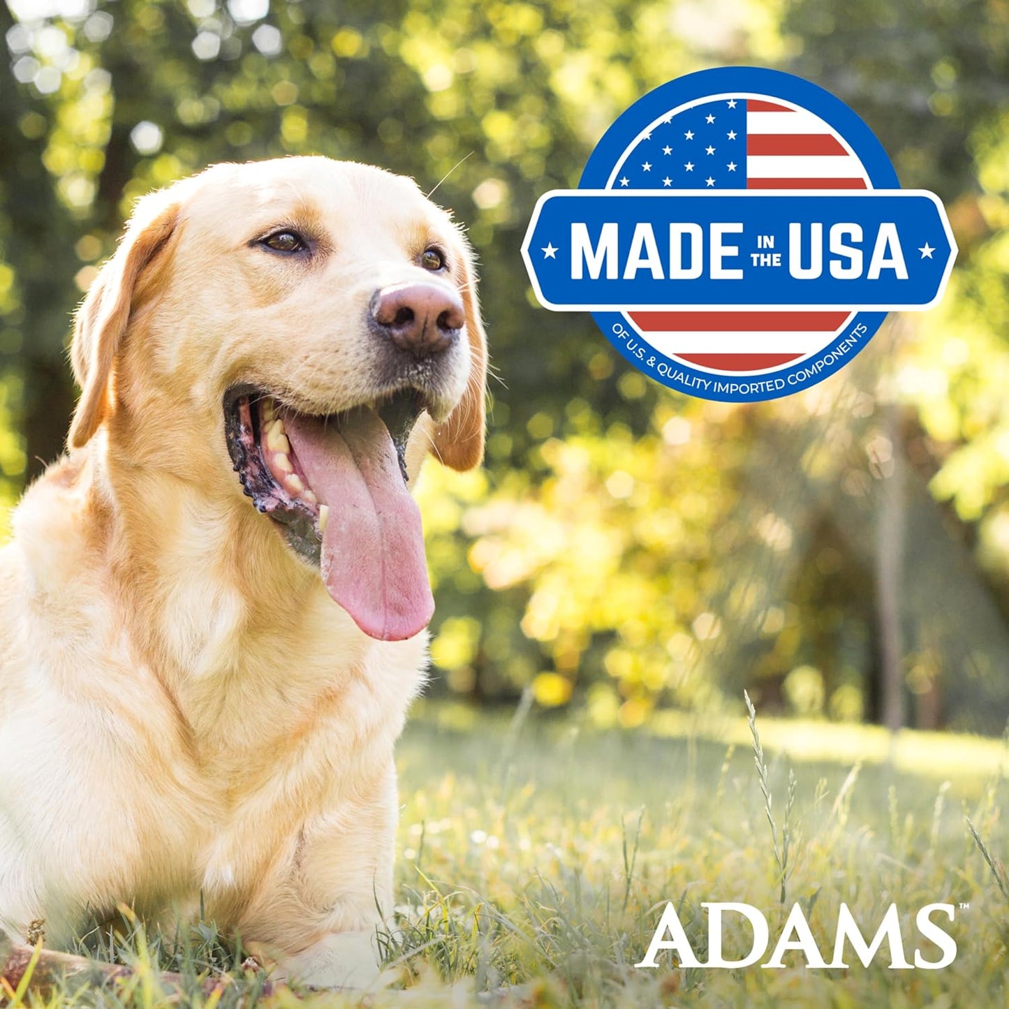 Adams Plus, Flea & Tick Prevention Spot On for Dogs 61-150 Pounds, 12 Weeks & Older, 3-Month Supply, Kills Fleas, Flea Eggs, Flea Larvae & Brown Dog & Deer Ticks, Kills & Repels Mosquitoes For 30 Days