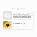 CYMBIOTIKA, Liposomal Creatine 5g for Muscle Recovery & Performance