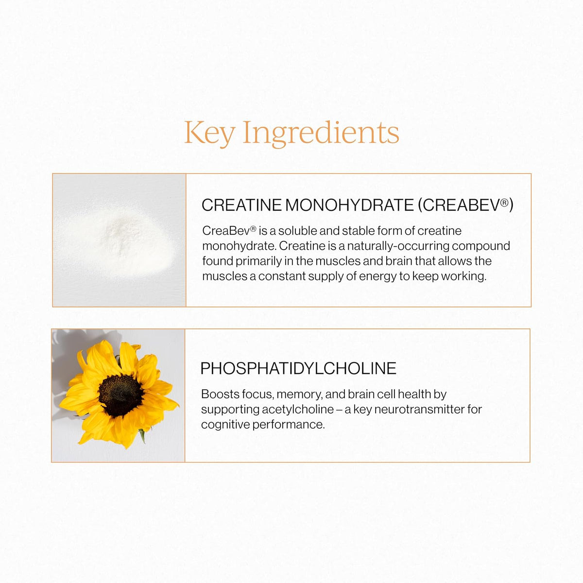 CYMBIOTIKA, Liposomal Creatine 5g for Muscle Recovery & Performance