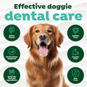 TropiClean, Fresh Breath Dog Toothpaste for Teeth Cleaning, Breath Freshener, Easy to Use Plaque & Tartar Remover Gel, No Toothbrush Needed, 4oz.