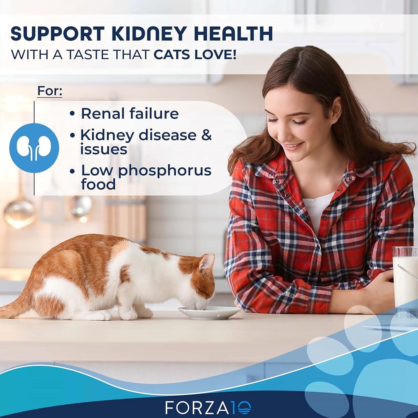 Forza10, Active Kidney Renal Diet Dry Cat Food for Adult Cats, Kidney Care Cat Food for Heart and Kidney Problems, Wild Caught Anchovy Flavor, 4 Pound Bag