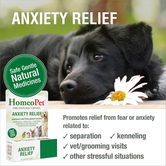 HomeoPet, Anxiety Relief Medicine for Pets, Natural Anxiety Relief for Dogs and Cats, Cat and Dog Calming Medicine, 15 Milliliters