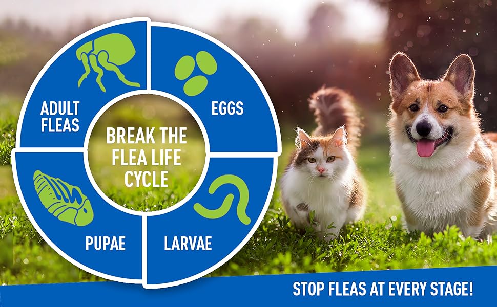 Adams Plus, Flea & Tick Prevention Spot On for Dogs 61-150 Pounds, 12 Weeks & Older, 3-Month Supply, Kills Fleas, Flea Eggs, Flea Larvae & Brown Dog & Deer Ticks, Kills & Repels Mosquitoes For 30 Days